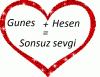 g.u.n.e.w_h.e.s.e.n