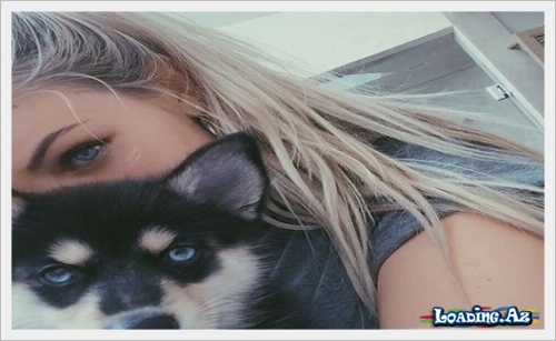 Animals♥ - LoaDinG.Az