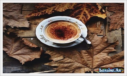 Bir fincan qəhvə ilə həyat dərsi - LoaDinG.Az