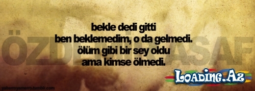 Şəkillər danışsın