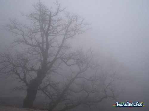 Nazirlikdən HAVA XƏBƏRDARLIĞI: Bu şəxslər DİQQƏTLİ OLSUN - LoaDinG.Az