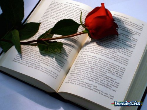 Təsirli bir hekayə - LoaDinG.Az