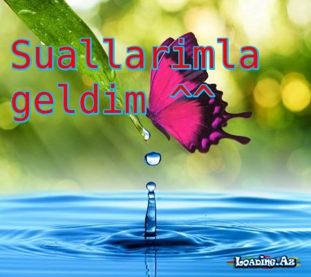 Suallarım var sizə ッ✌