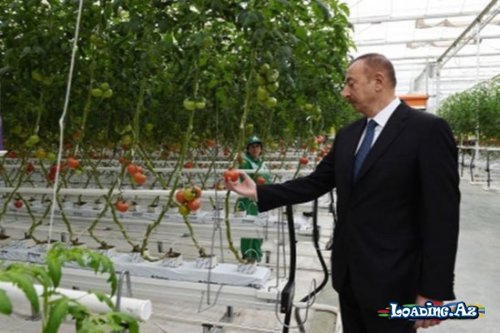 İlham Əliyev "BAKU AGROPARK"-da - LoaDinG.Az