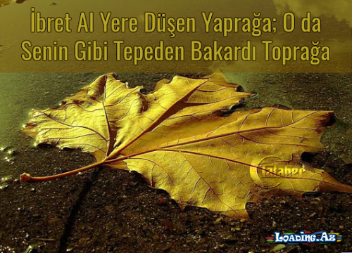 Maraqlı hekayə...