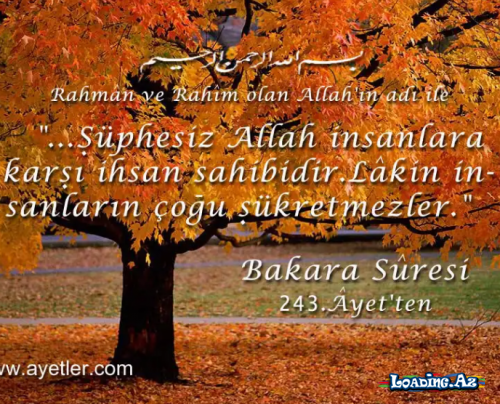 Qurani-Kerimden dualar