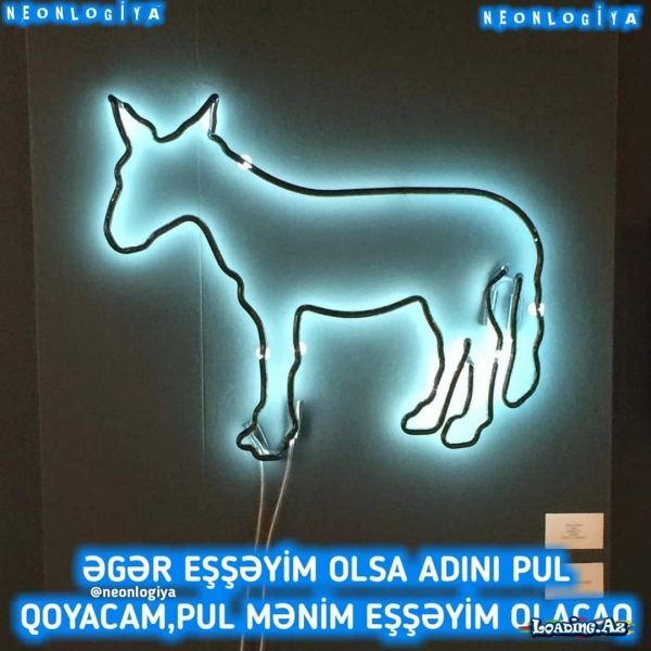 neonlogiya •