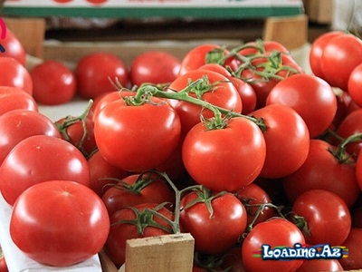 Bu il Azərbaycanın ixrac etdiyi məhsulların siyahısında pomidor birincidir