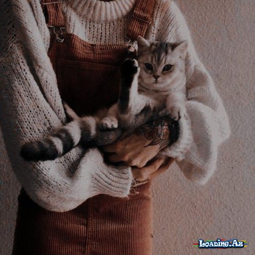 Qarışığ olsunღ[10] - LoaDinG.Az