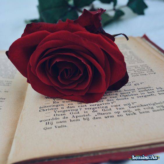 Həyatın ən böyük faciəsi tez qocalmaq deyil, gec ağıllanmaqdır.