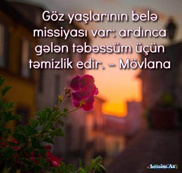 Narahat olmayın, itirdiyiniz hər şey başqa formada geri qayıdır. - LoaDinG.Az