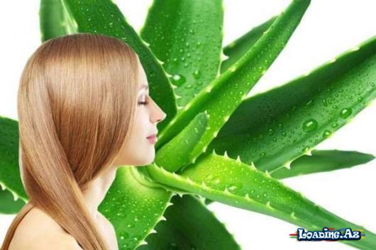 Saçınızı düzləşdirən təbii jele – ALOE - LoaDinG.Az
