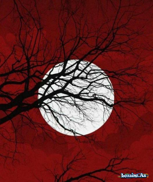 ♥️QıRmıZı seVəNlƏrə♥️