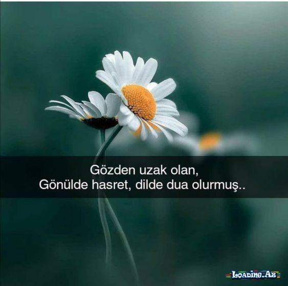 "🌨Gece uyumayan insanların gündüze sığmayan acıları vardır.🌙"