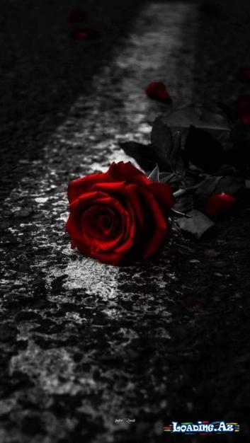 "Qəbrə hazırlıqsız girən,dənizı qaylqsız girmiş kimidir...." - LoaDinG.Az