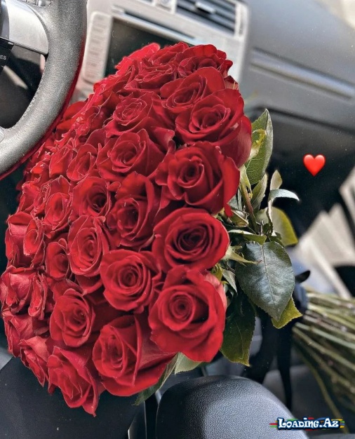 🌷Flower's🌷