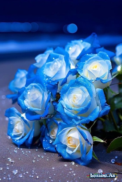 Qızılgüllər🌹