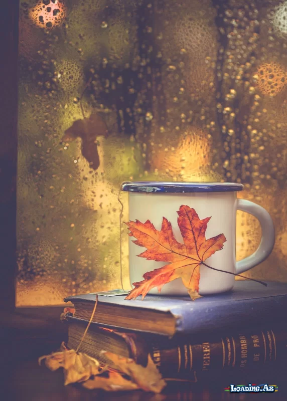Rainy Day - LoaDinG.Az
