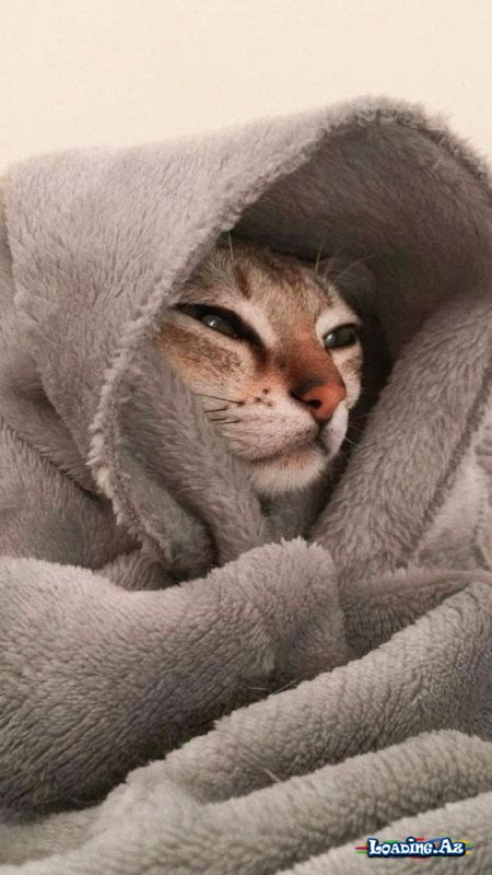 İt's my mood - LoaDinG.Az